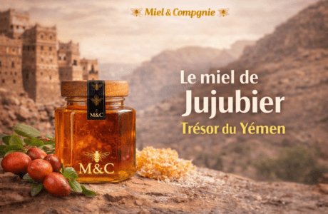 le miel de jujubier