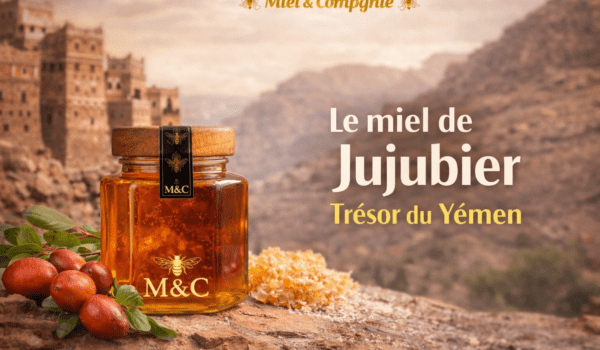 le miel de jujubier