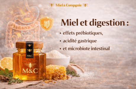miel et digestion