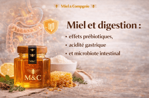 miel et digestion