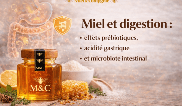 miel et digestion